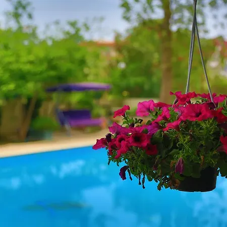 Anfora 3* Белек